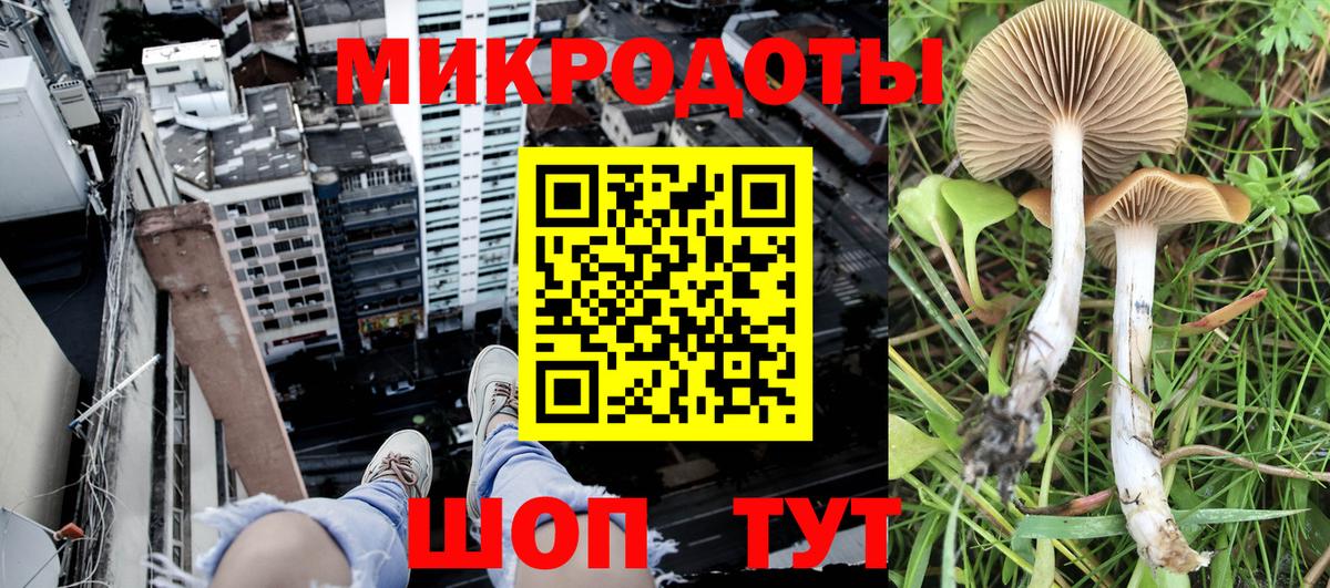 Галлюциногенные грибы Cubensis  Вход с VPN  хочу наркоту  Кыштым 